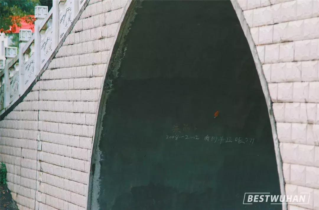 奔波一下午，给你展现最好的武汉东湖学院