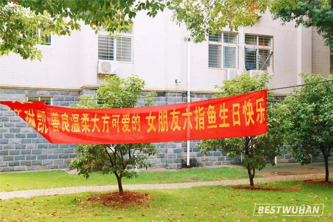 奔波一下午，给你展现最好的武汉东湖学院