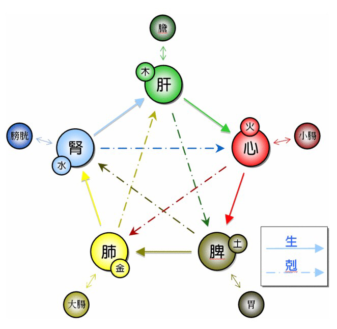 学中医先学阴阳五行八卦,中医基础理论之阴阳五行学说