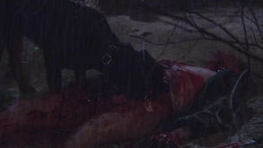 足够血腥恐怖电影,血腥程度堪比丧尸电影