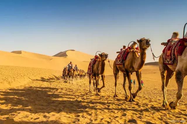 龙泰号专列什么时候发车,龙泰号旅游专列抵达阿勒泰