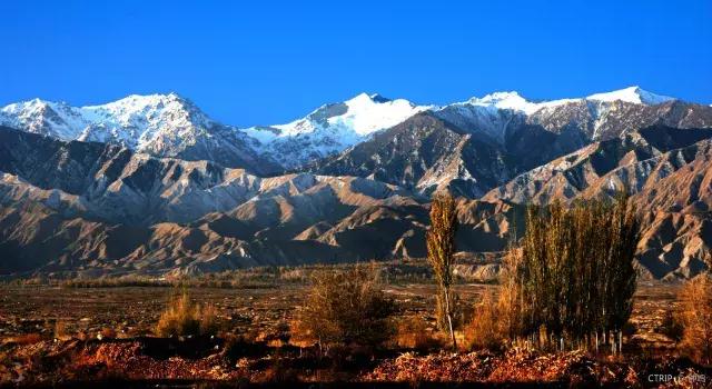 龙泰号专列什么时候发车,龙泰号旅游专列抵达阿勒泰