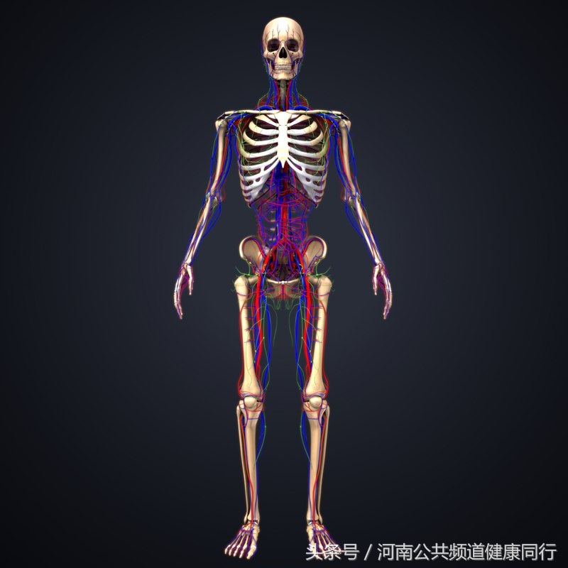 静脉曲张郑大一附院看哪个科,郑大一附院硬化剂治疗静脉曲张