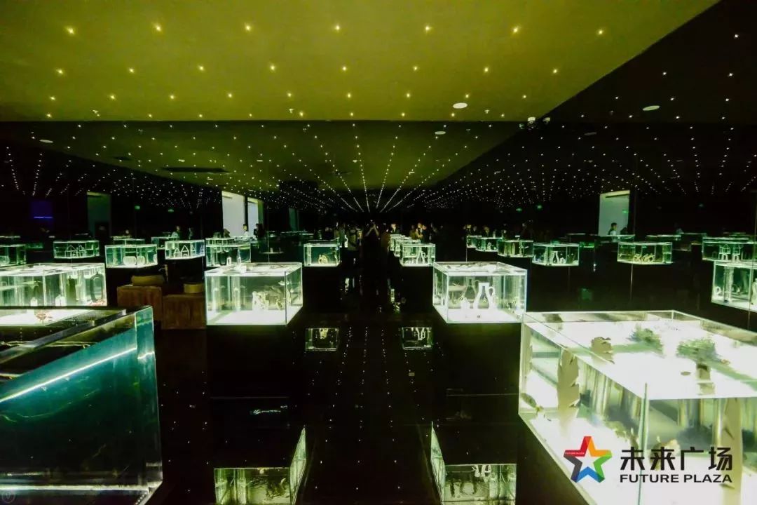 澶嶅崕鏈潵骞垮満,闈掑矝澶嶅崕鏈潵骞垮満