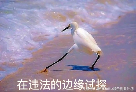 魔豆GOGO丨《我不是药神》教你做个成功的创业者