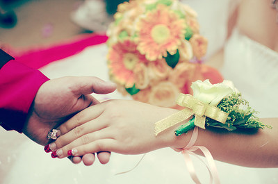 有人撕心裂肺，有人抱得美人归（玫瑰7）