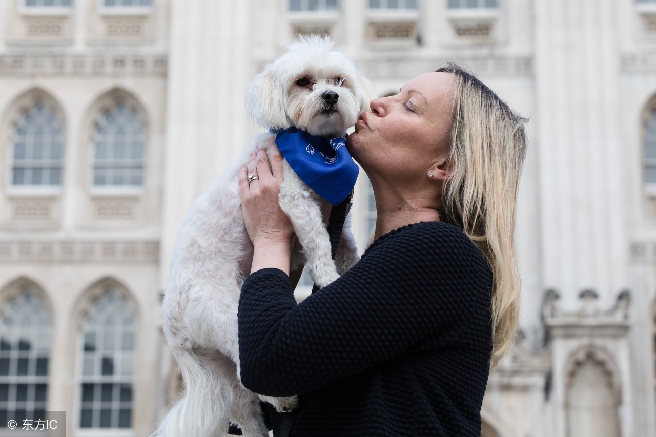 关于备孕你需要知道的5个问题,备孕困难排卵期怀孕知识分享