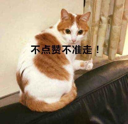 梦幻西游转门派五开,梦幻西游花果山与五庄观对比