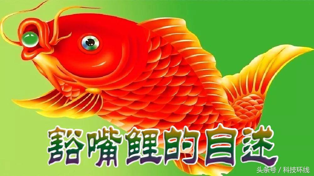 夏九胜‖豁嘴鲤的自述