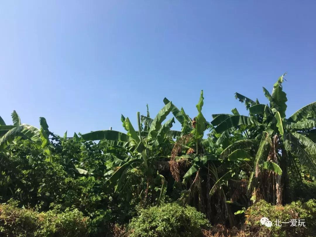 国庆不想人挤人？慢悠悠的北海、小清新涠洲岛可考虑~机票超便宜