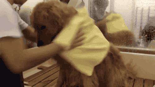 游完泳怎么快速变白,游完泳皮肤变黑怎么办