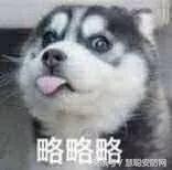 为什么外国人都起英文名,老外崩溃翻译中文