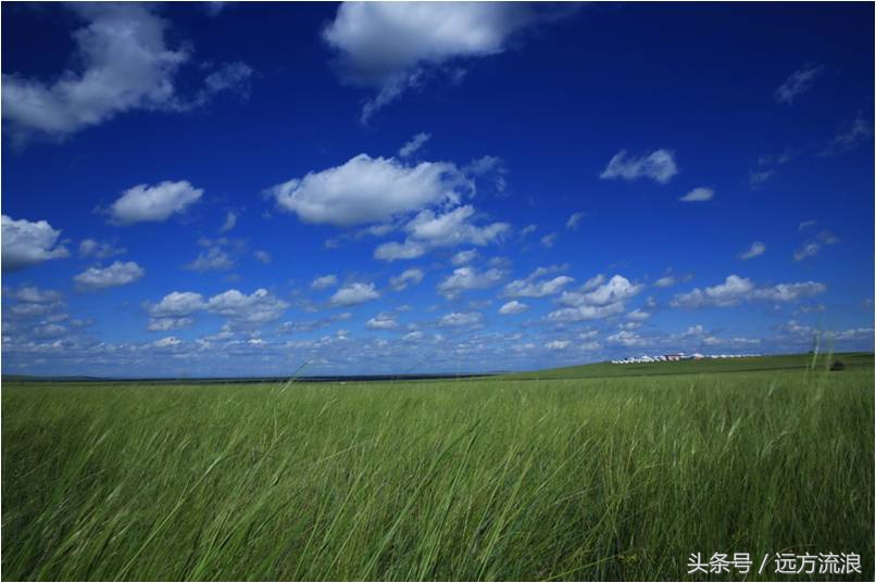 金帐汗蒙古部落景区简介,海拉尔金帐汗蒙古部落好玩吗