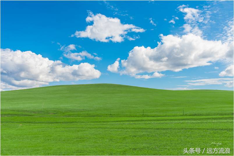 金帐汗蒙古部落景区简介,海拉尔金帐汗蒙古部落好玩吗