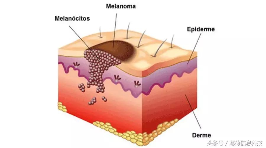 简单又靠谱的美白方法,美白小技巧早晚都行