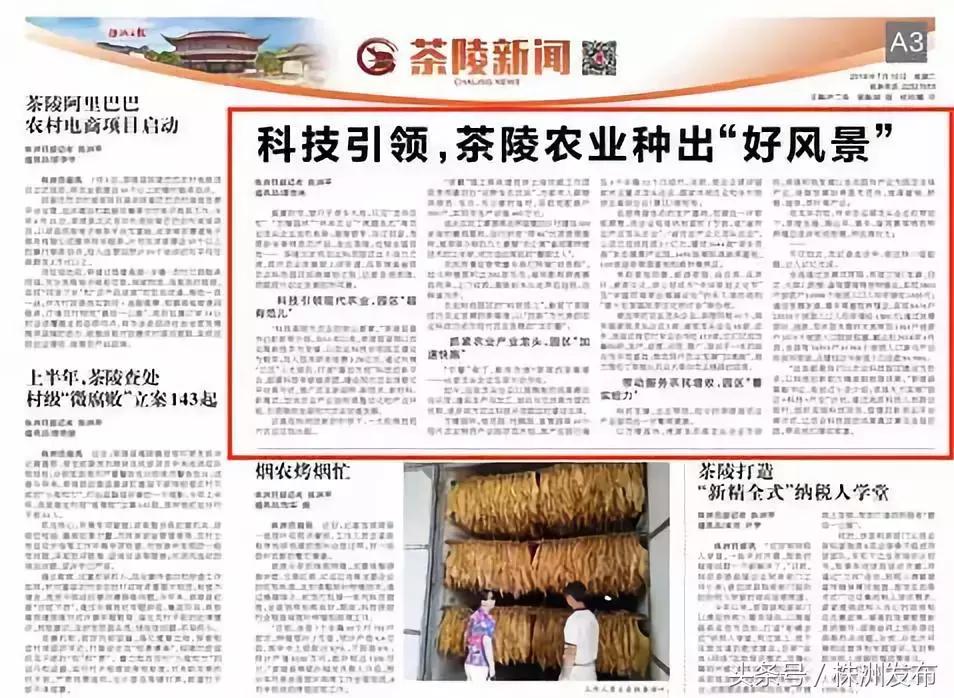 推广先进技术助力农业丰收,茶陵县英正田园种养生态农业