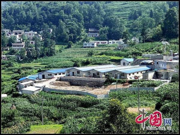 陈学忠：把扶贫仔猪送给农户