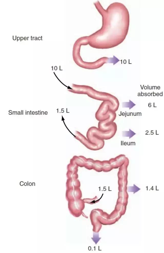 急性腹泻在家怎么处理,急性腹泻吃蒙脱石散