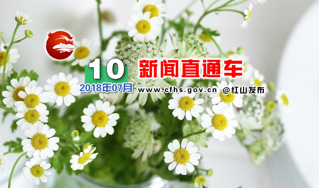 红山新闻直播,今日红山新闻直通车