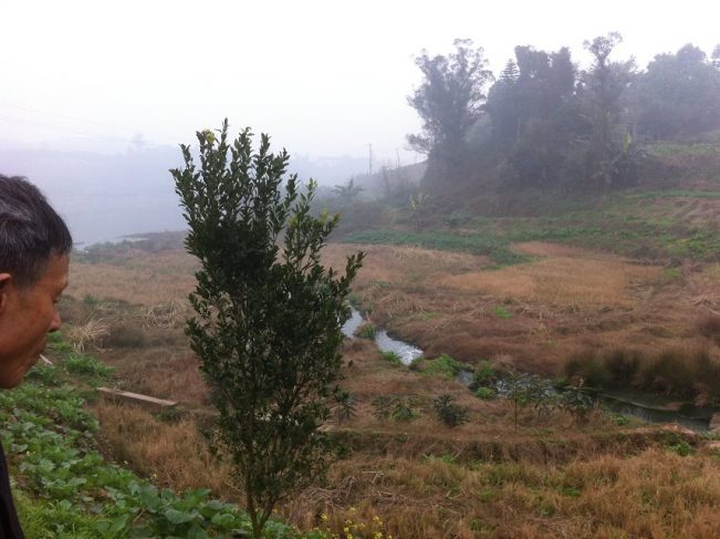 朋友讲述自己经历的灵异故事,亲戚朋友讲述真实经历