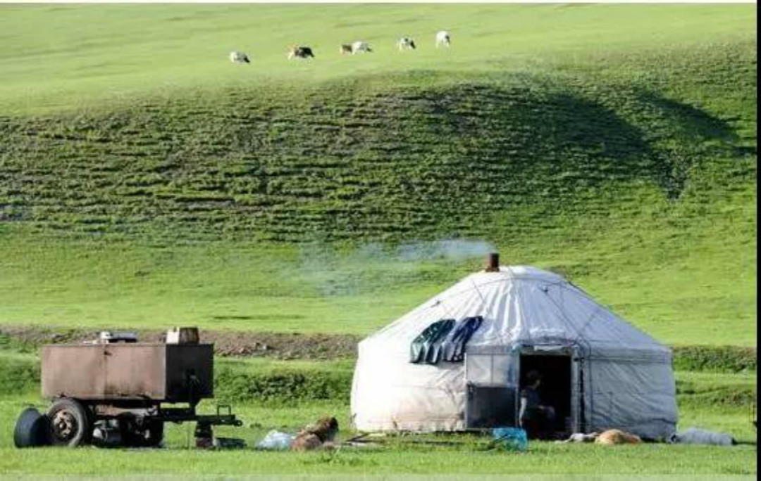 全球最美木屋民宿,世界最豪华木屋排名