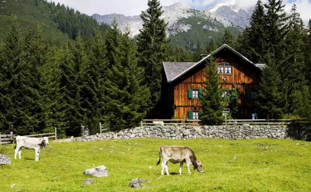 全球最美木屋民宿,世界最豪华木屋排名