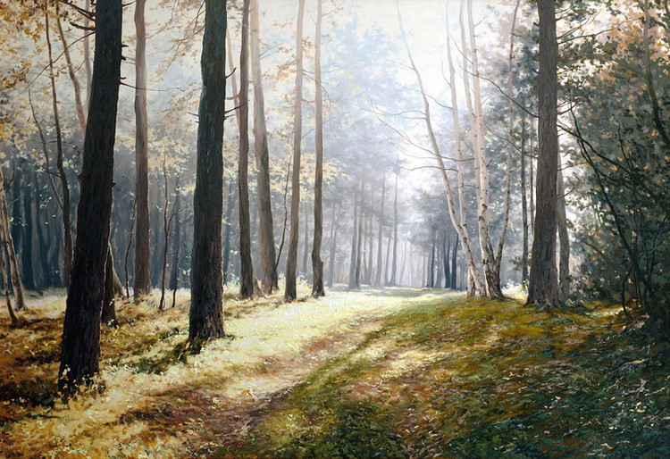 绘画构图学习心得总结,绘画构图学书籍