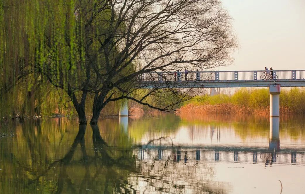 没错！你眼前的西安，便是曾经的长安