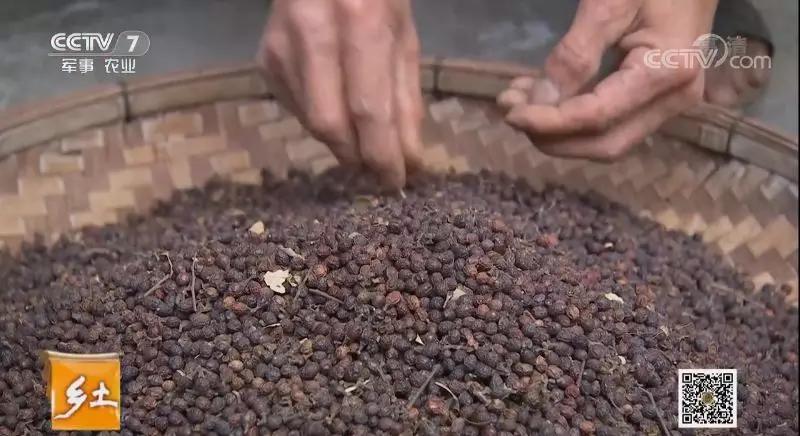 用臭油灯炖鸡拿陈年普洱茶煮饭:腾冲这些美味开启的是浓浓乡愁