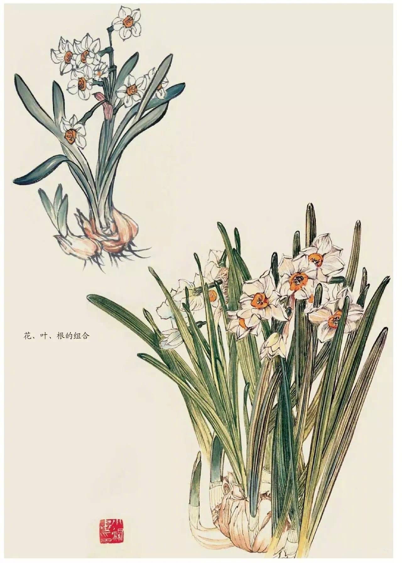 国画中的植物花卉小雏菊怎么画,国画花卉小品图片大全大图