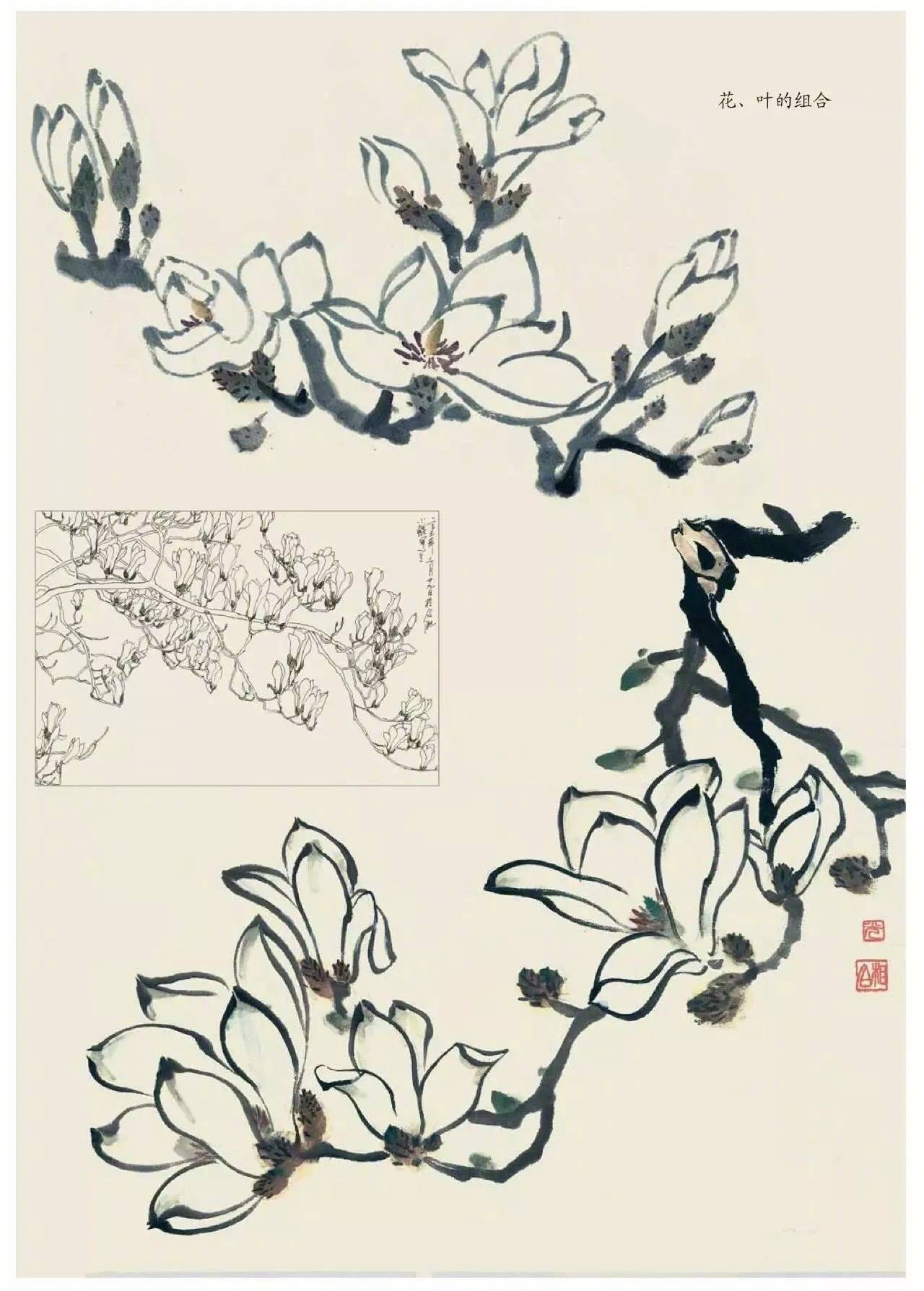 国画中的植物花卉小雏菊怎么画,国画花卉小品图片大全大图