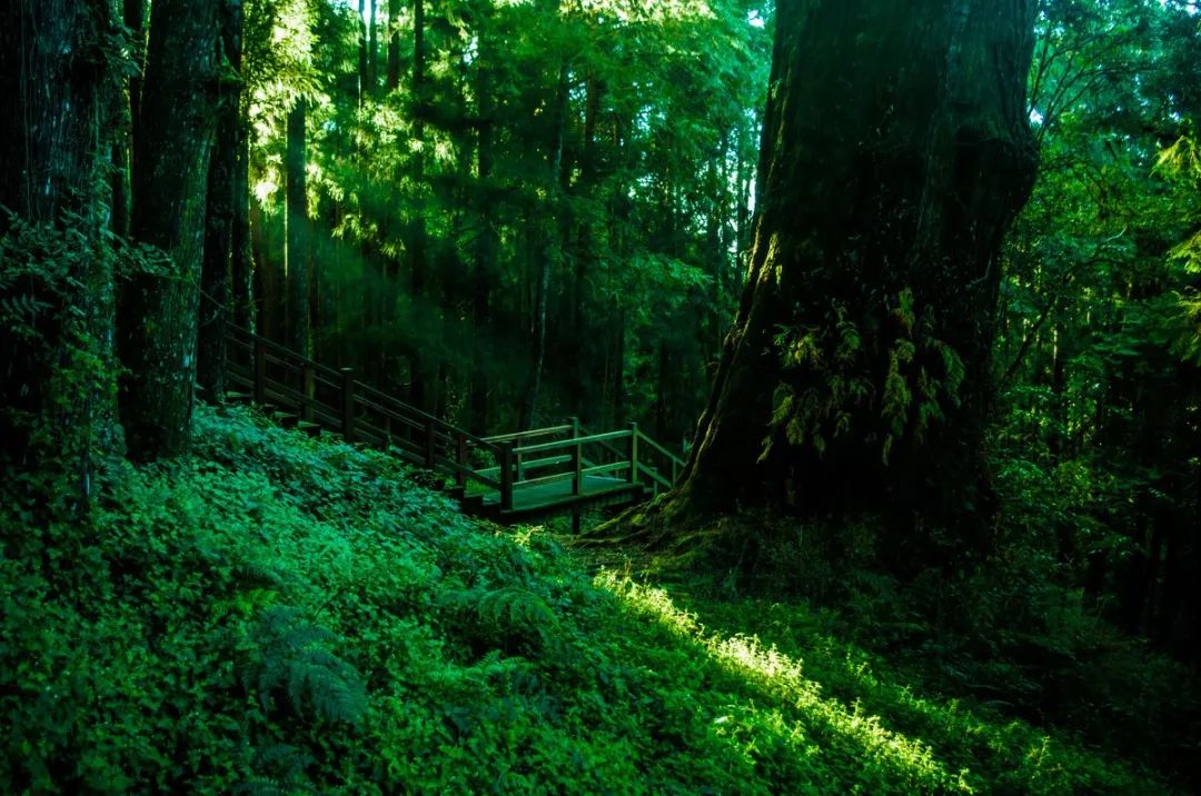 去台湾看看美景,在台湾街上走一走