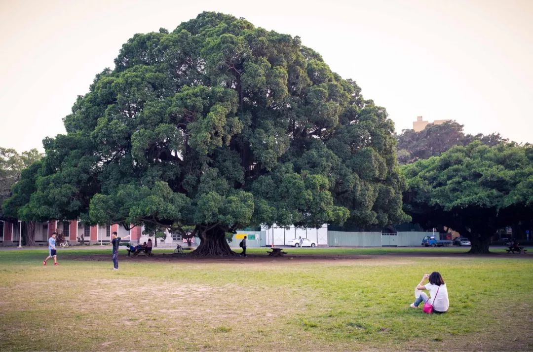 去台湾看看美景,在台湾街上走一走