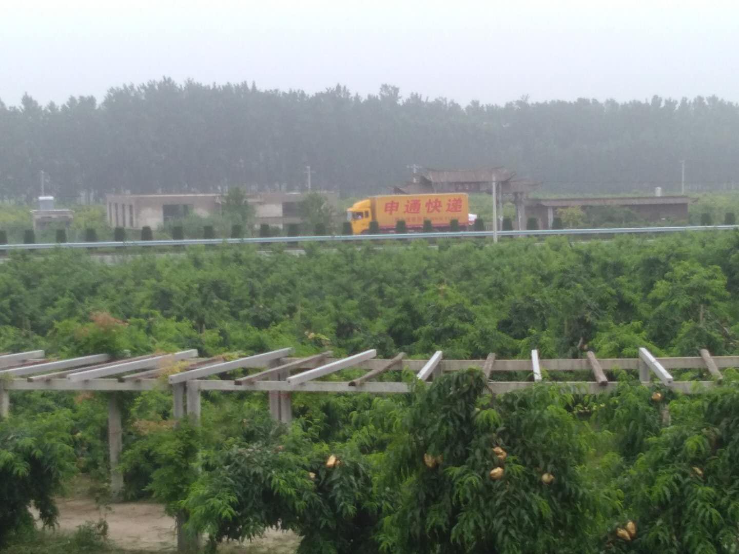 千鸟园宿迁美食,千鸟园桃缘