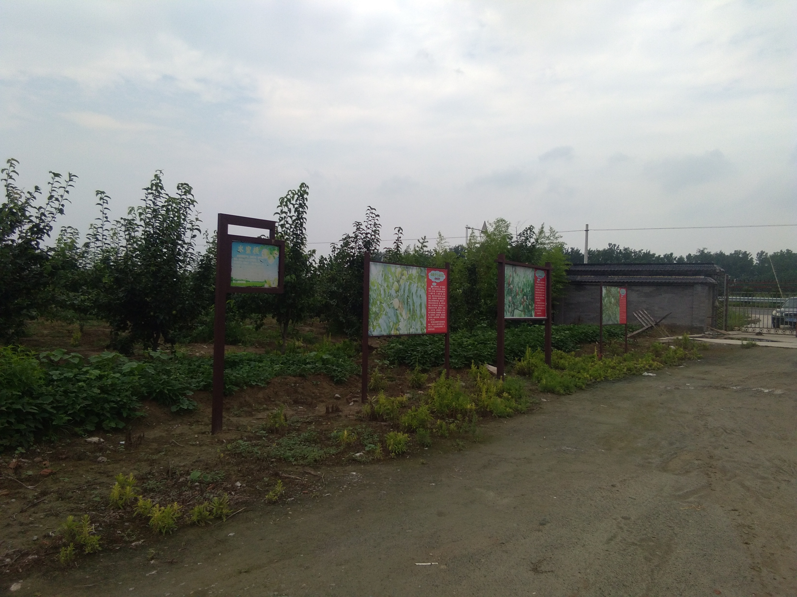 千鸟园宿迁美食,千鸟园桃缘