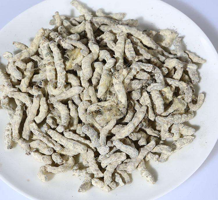 白僵蚕的禁忌,中药材白僵蚕又叫什么