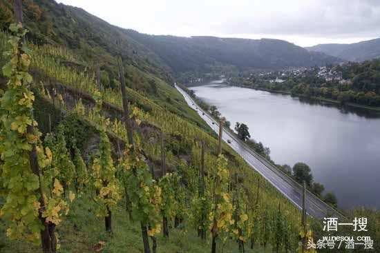 葡萄酒的价格段和销量,穆泽酒庄干红葡萄酒价格