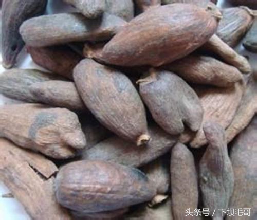 90后的童年农村野果,90年代的孩子有多少零花钱