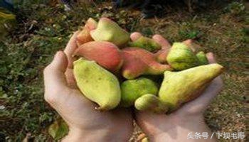 90后的童年农村野果,90年代的孩子有多少零花钱