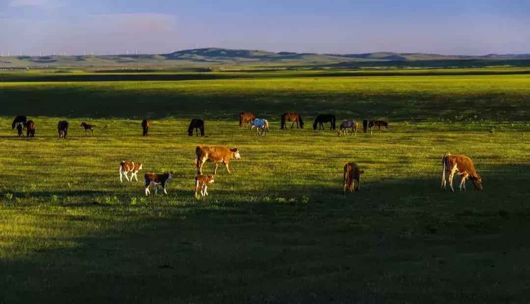 天津到长白山直达火车,天津出发4-5小时大巴旅游