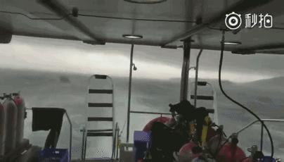 “对不起，孩子回不来了！”今天，全中国都被这42条生命刷屏了……