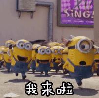 厦门自助餐性价比排行榜前十名,厦门建发五缘湾凯悦酒店自助餐