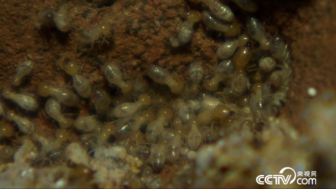 大学毕业干啥能赚百万