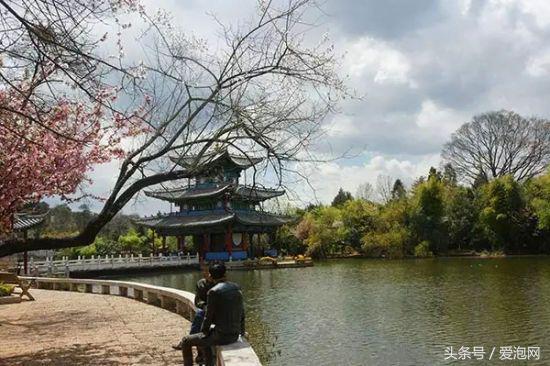 云南丽江黑龙潭旅游攻略,丽江黑龙潭公园怎么样