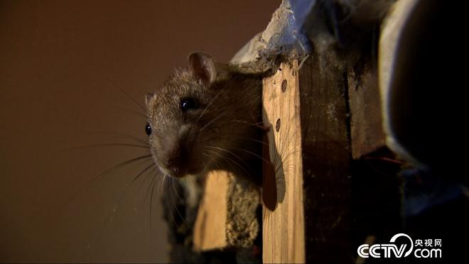 大学毕业干啥能赚百万