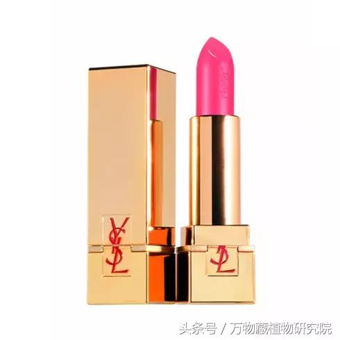 同草不同命，大牌护肤品中也有这些印度草药