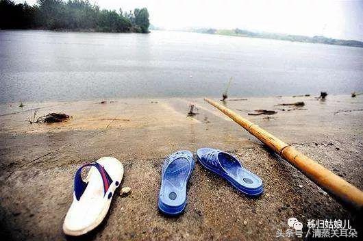 夏日傍晚，伴着蛙叫我在大树下乘凉、数星星……