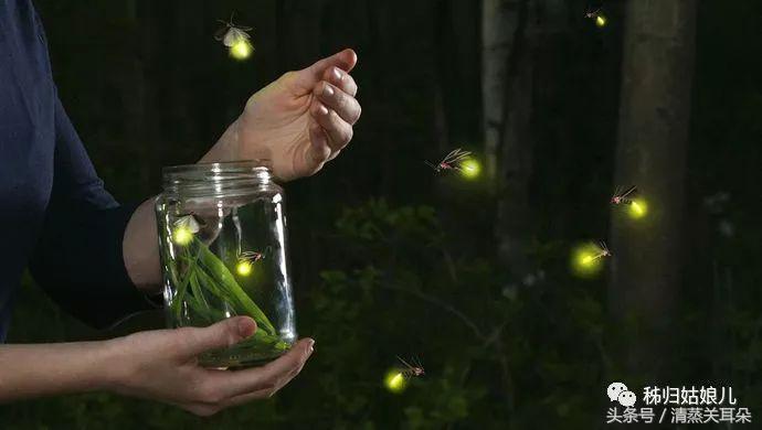 夏日傍晚，伴着蛙叫我在大树下乘凉、数星星……