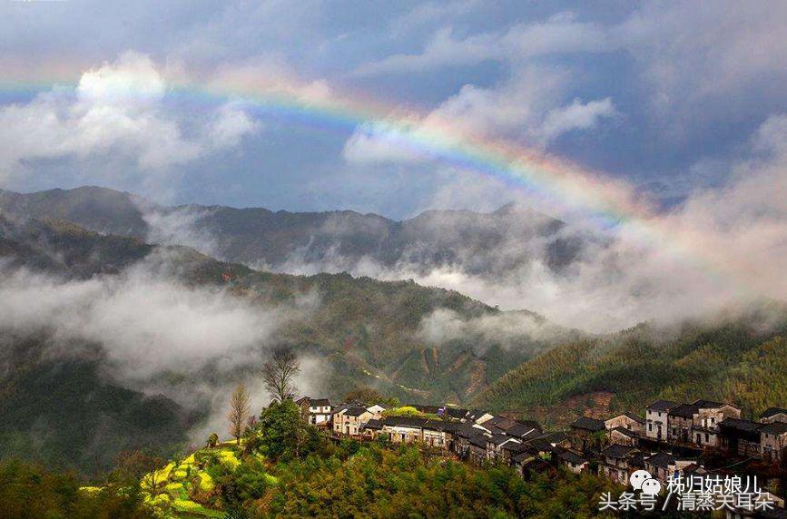 夏日傍晚，伴着蛙叫我在大树下乘凉、数星星……