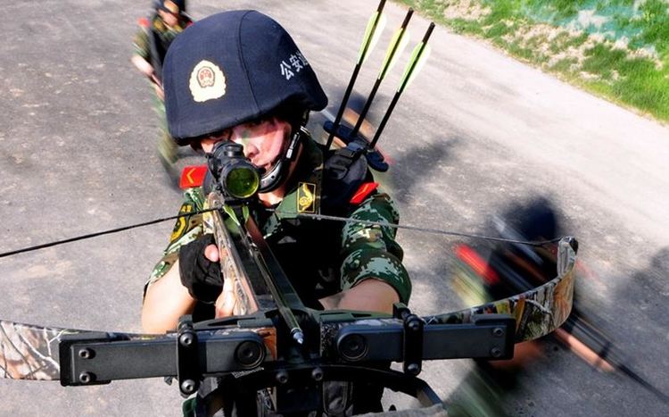 95式步枪只要5000元,为何弓弩要卖6万?老兵告诉你答案